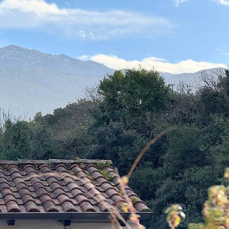 Apartamento Penaquinera En Llanes Exteriér fotografie